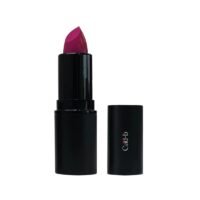Lipstick-Pink-Pizzazz-P026-Paraben-Free-Cruelty-Free.jpeg